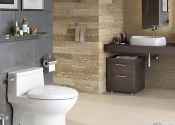 Thiet bi ve sinh cotto