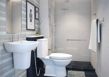Có nên sử dụng sen tắm cây cho phòng tắm nhỏ không