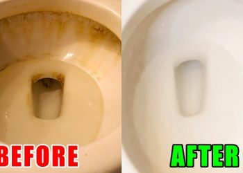 Mẹo hay tẩy bồn cầu bẩn nhanh chóng và hiệu quả